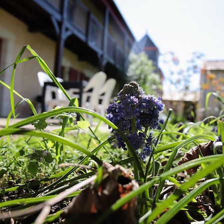 Au Repos Des Elfes Villa Braye-sous-Faye Екстериор снимка