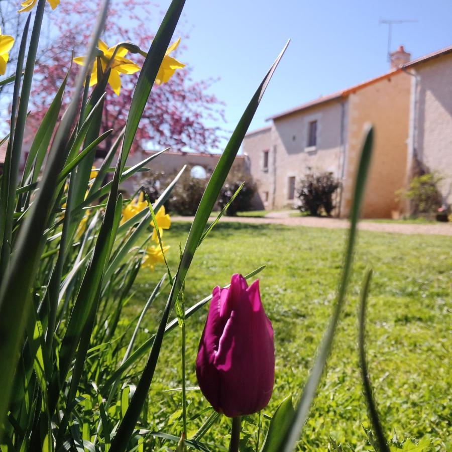 Au Repos Des Elfes Villa Braye-sous-Faye Екстериор снимка
