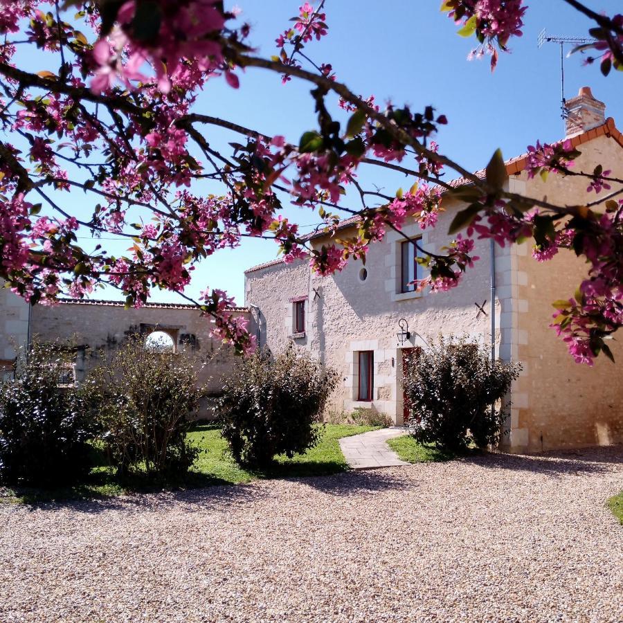 Au Repos Des Elfes Villa Braye-sous-Faye Екстериор снимка