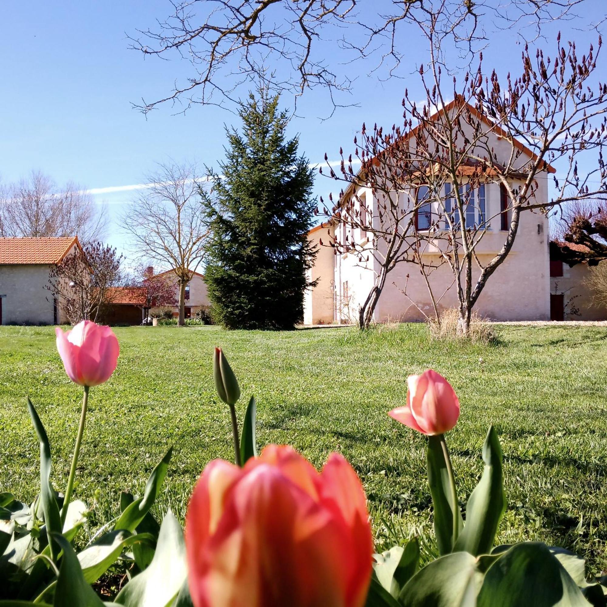 Au Repos Des Elfes Villa Braye-sous-Faye Екстериор снимка